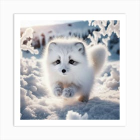 Arctic Fox Art Print