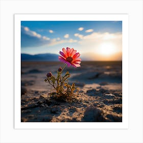 Flower In The Desert, A Blooming Flower In A Desolate Landscape Representing Hope And Resilience Art Print