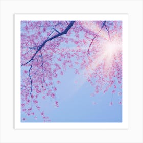 Cherry Blossoms 5 Art Print