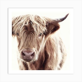 Highland Cow Art Print