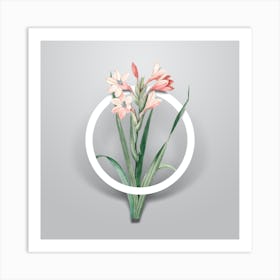 Vintage Gladiolus Saccatus Minimalist Flower Geometric Circle on Soft Gray n.0077 Art Print