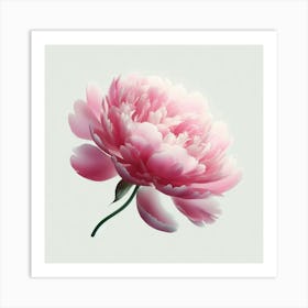 Pink Peony Art Print