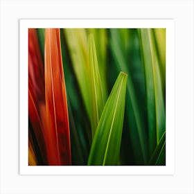 Colorful Leaves Of Grass Art Print