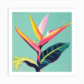 Heliconia 2 Square Flower Illustration Art Print