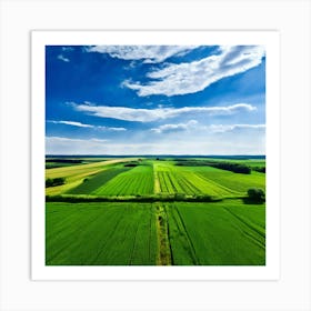 Grass Peace Air Structure Pasture Soy Bean High Country Rural Green Farm Overhead Natur (3) Art Print