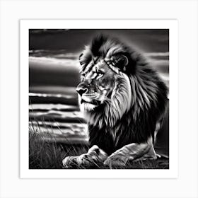 Lion In The Grass 2 Art Print