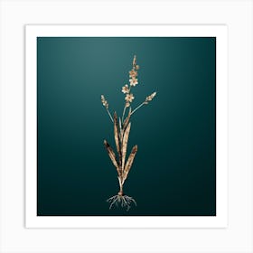 Gold Botanical Ixia Scillaris on Dark Teal n.1825 Art Print