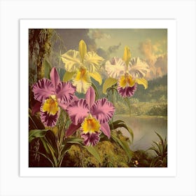 Orchids In The Water Art Art Print