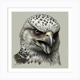 Eagle Head Art Print