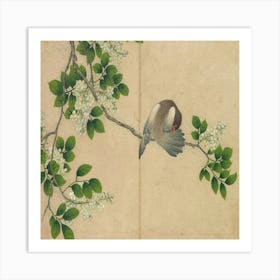 Pigeon On A Branch Art Print