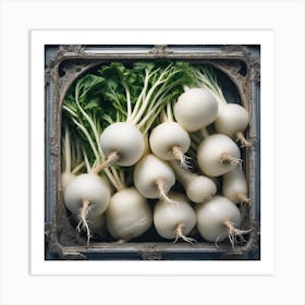 Turnip Art Print