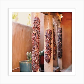 Dried Chiles Art Print