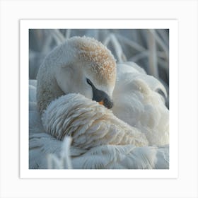 Swan In Frost Art Print