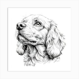 Cocker Spaniel Art Print