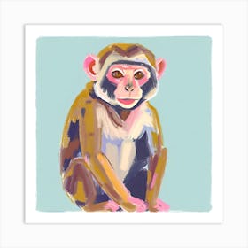 Capuchin Monkey 03 Art Print
