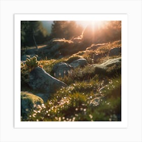 Mossy Grass And Rocks Art Print