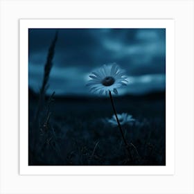 Single Flower In A Field Art Print