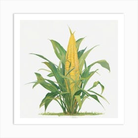 Corn On The Cob 1 Art Print