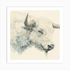 White Bison Art Print