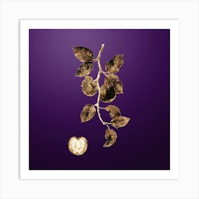 Gold Botanical Apricot on Royal Purple n.0794 Art Print