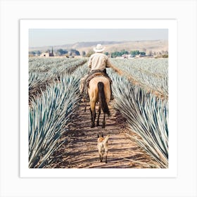 Farmer Checking Agave Fields Square Art Print