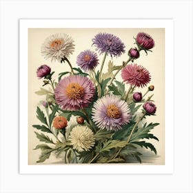 Asters Wildflower Vintage Botanical Art Print Art Print