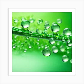 Water Droplets On A Leaf Art Print