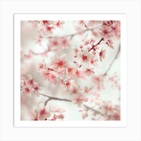 Cherry Blossoms Art Print