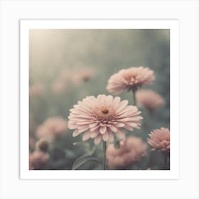 Pink Daisies Art Print