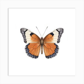 Butterfly 42 Art Print