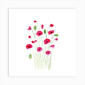 Poppies Art Print