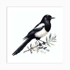 Magpies Art Print