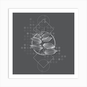 Vintage King Solomon's Seal Botanical with Line Motif and Dot Pattern in Ghost Gray n.0264 Art Print