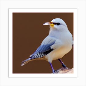 White-Winged Bird Art Print