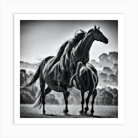 Two Horses Fighting Art Print