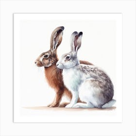 Hares Winter and Summer Art Print