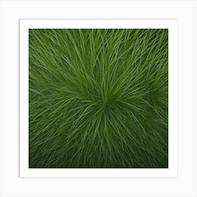 Grass Background 29 Art Print