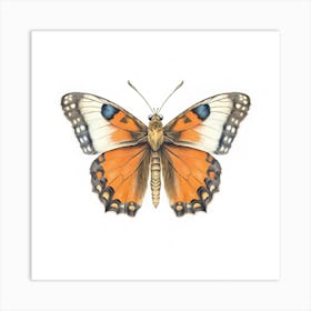 Butterfly 47 Art Print