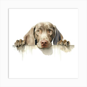 Weimaraner Dog 2 Art Print