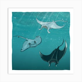 Stingrays 3966533 1280 Art Print