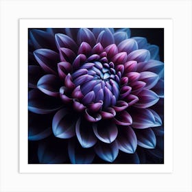 Purple Dahlia Flower Art Print