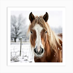 Horse Hair Pony Animal Mane Head Canino Isolated Pasture Beauty Fauna Season Farm Photo (2) Art Print