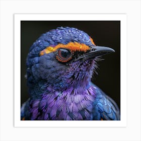 Purple Kingfisher Art Print