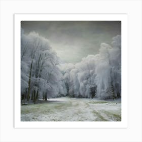 Frosty Forest Art Print