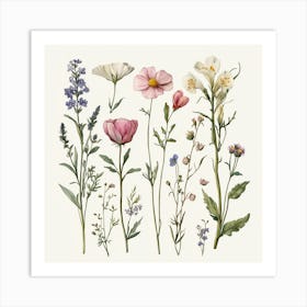 Wildflowers 11 Art Print