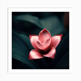 Flower 2 Art Print