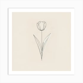 Tulip 1 Art Print