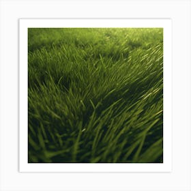 Grass Field 18 Art Print