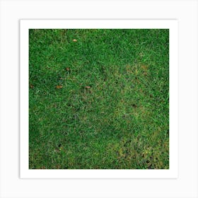 Lawn 253616 1280 Art Print