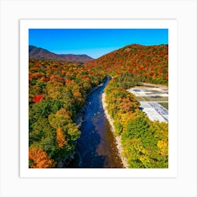 Fall Foliage In New Hampshire Art Print